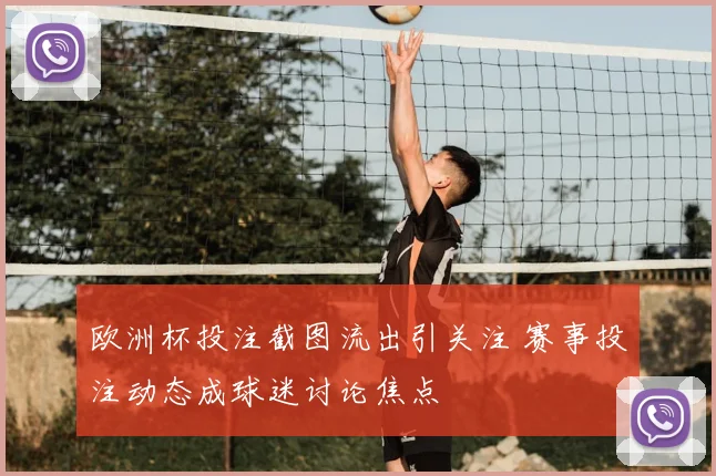 欧洲杯投注截图流出引关注 赛事投注动态成球迷讨论焦点