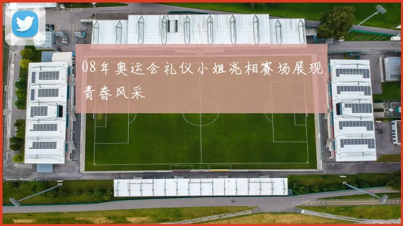 08年奥运会礼仪小姐亮相赛场展现青春风采